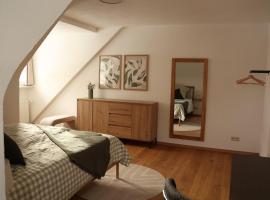 Panorama Domblick: St. Blasien şehrinde bir otel