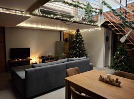 Small atypical house, in central Alsace，位于塞莱斯塔的酒店