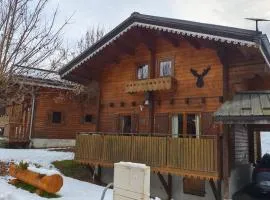 Châlet CARIBOU 74 avec Piscine Chauffée