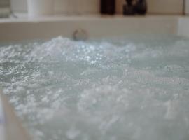 Luxus-Apartment Champagner & Spa, hotel in Herford