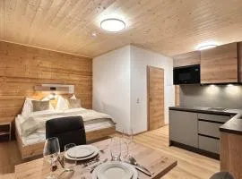 Alpin Studio Schladming 105