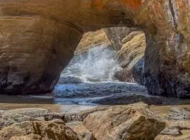 Coastal Garden - Anchor Pier Lodge