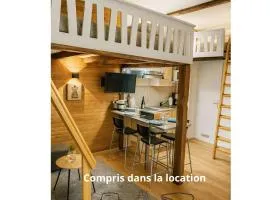 Le Nid Des Marmottes, hyper centre, draps et serviettes fournies