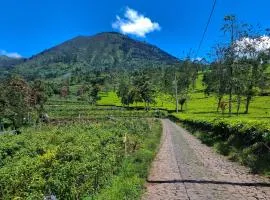 Khanzana Cabin and Camp Telaga Menjer