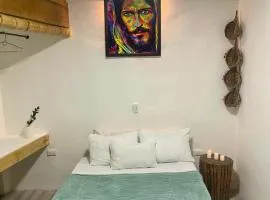 Casa Santa Rosa Garden