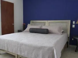 Condominio La Parota