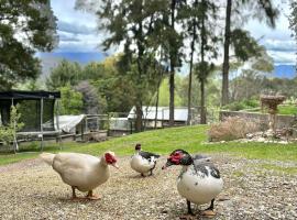 Coral Fern Farm Stay، فندق في Mongans Bridge