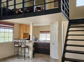 Lofts del centro