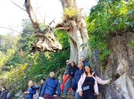 DongVan Panorama Ancient Homestay 1925