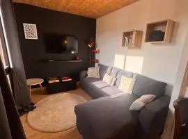 Appartement rénové T2 mezzanine Formiguères, 10 pers, proche commerces - FR-1-758-46