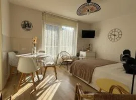 Grand studio lumineux avec balcon et WiFi, résidence avec piscine - FR-1-555-122