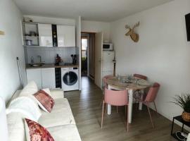 Vue sur la montagne au cœur des pistes，位于梅塔比耶的酒店