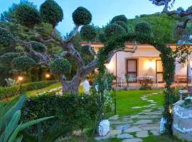 Alba in vigna Bed and Breakfast