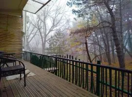 Central Pristina Park-Side Home