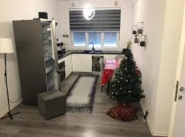 Holiday Villa Apartment Korce