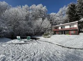 Alpenblick-Hotzenwald