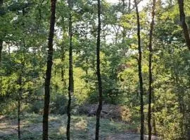 Chalet au bois tranquille