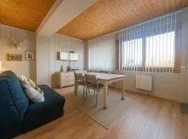 White Lodges - Megève center on ski slopes