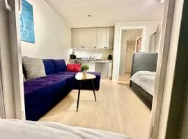 Exclusive Smart Home Central Oslo