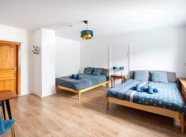 La Maison de maître - centre historique - 3 rue henriette