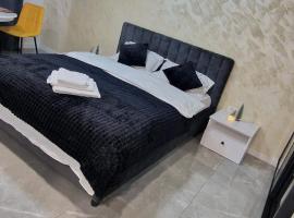 Studio Premium, lejlighed i T&acirc;rgu Jiu