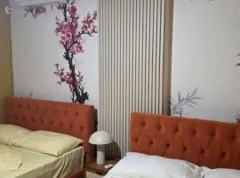 Beachfront Central Apartments