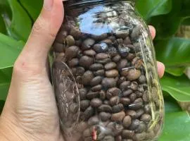 The Village Eco-Bungalows in Salvacion, Busuanga