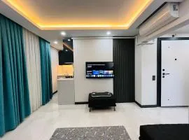 Two air-conditioned Luxury Suite in the center No 1