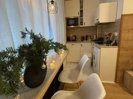 NEST Apartment - quiet & cozy near the city centre