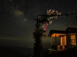 The Peak-Mystic Wilderness