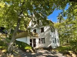 Ferienhaus Lemmerwald