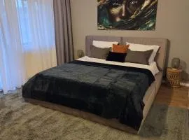 ALiVA Stay Apartment