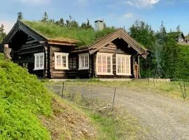 4 Bedroom Pet Friendly Home In Svingvoll