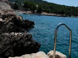 House Robinson house