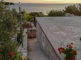 House Robinson house