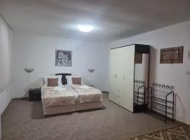 Маунтин лодж студио