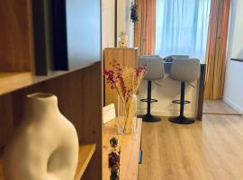 Nor's Studio Near City Center, hotel que acepta mascotas en Craiova