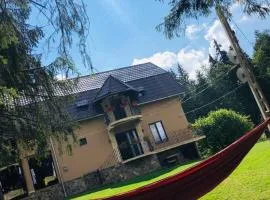 Cabana Suvenirurilor
