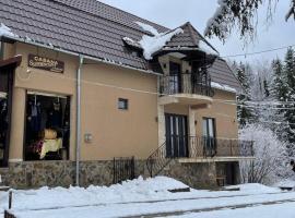 Cabana Suvenirurilor, hotel i Scărişoara