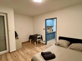 Appartement calme et lumineux, hotel in Illkirch-Graffenstaden