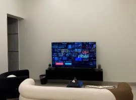 البروفيسور