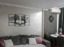 Stan na dan Bijeljina centar