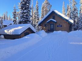 Vanamo، فندق مع موقف سيارات في Sy&ouml;te