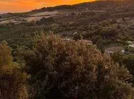 ASTOR - La Dolce Vita the Tuscan way