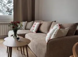 Apartament Cicha Przystań w centrum Zakopanego APARTZAKOP