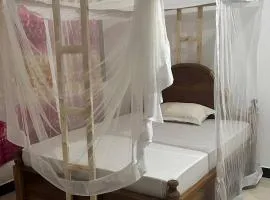 Кокосовый домик