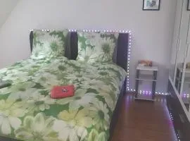 Ueber den Dächern von Alzey