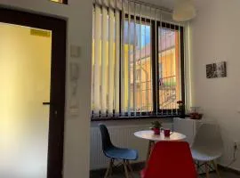 Central Apartment