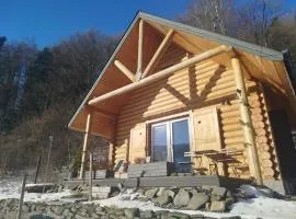 Chatka pod lasem Szczyrk