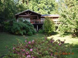 Cabaña Huenehue - Orilla de Lago y Embarcadero, ξενοδοχείο σε Pucura